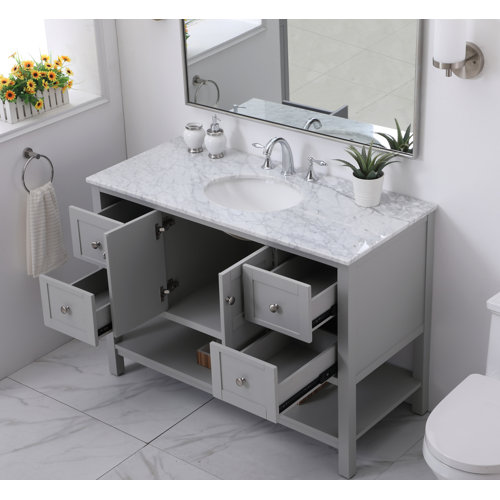 Charlton Home® Berg 48'' Freestanding Single Bathroom Vanity with